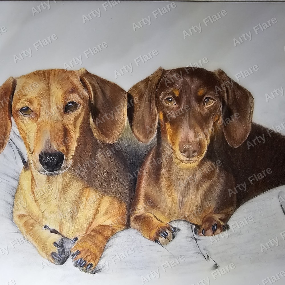 Realistic coloured pencil pet portrait of Duke & Cash by Arty Flare