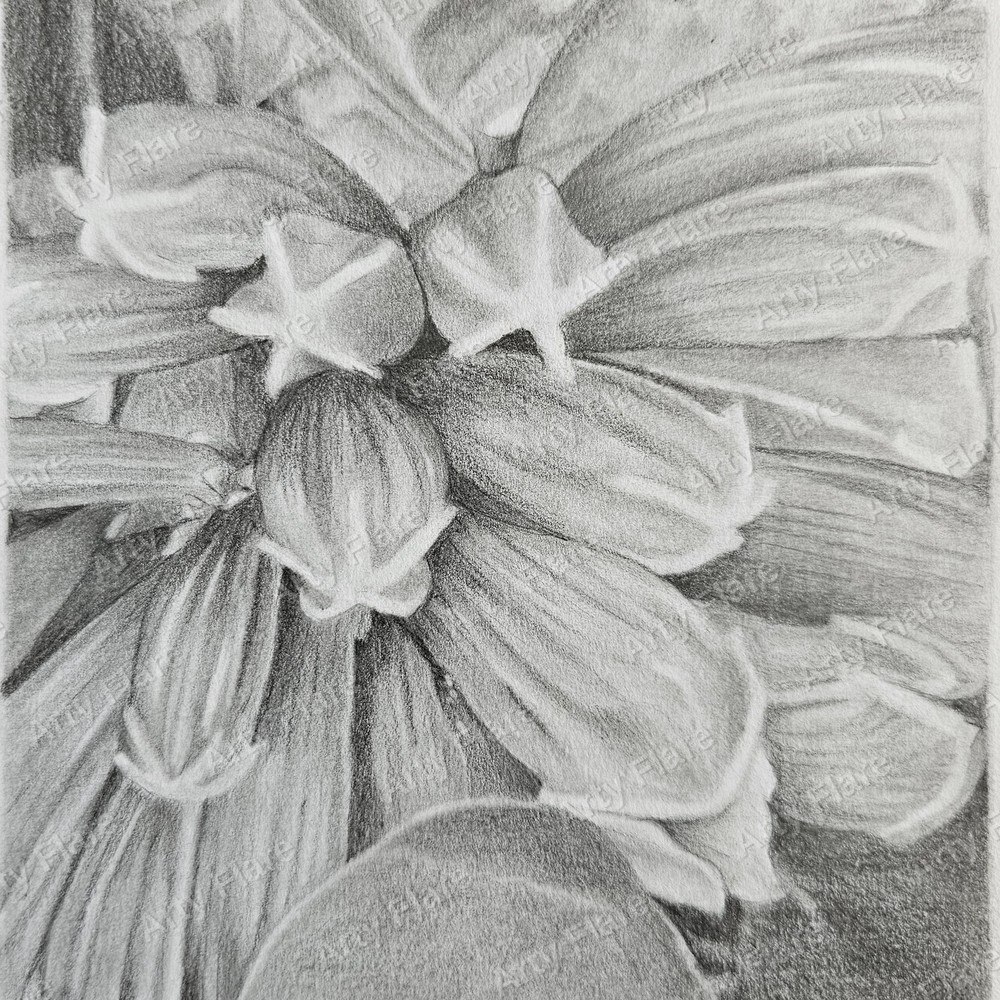 Realistic coloured pencil study of Fraser Island Creeper by Arty Flare