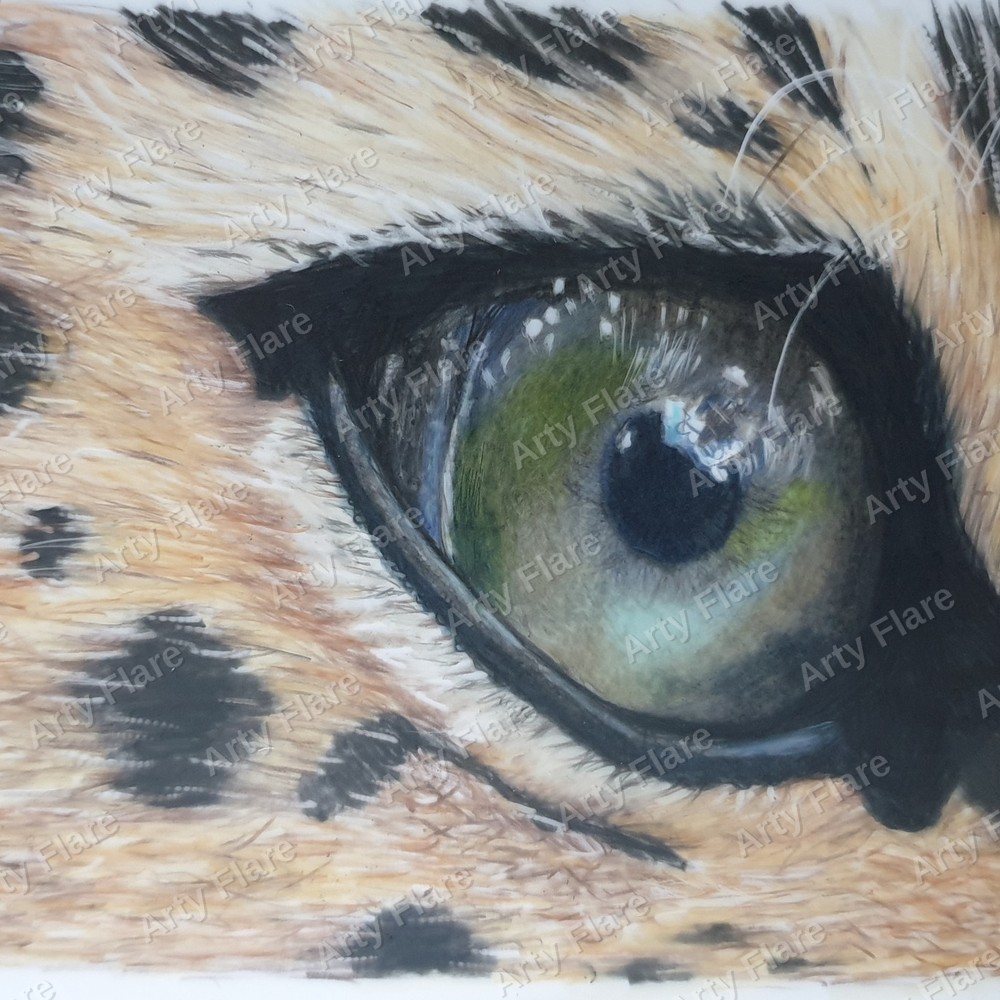 Realistic coloured pencil study of Leopard Eye by Arty Flare