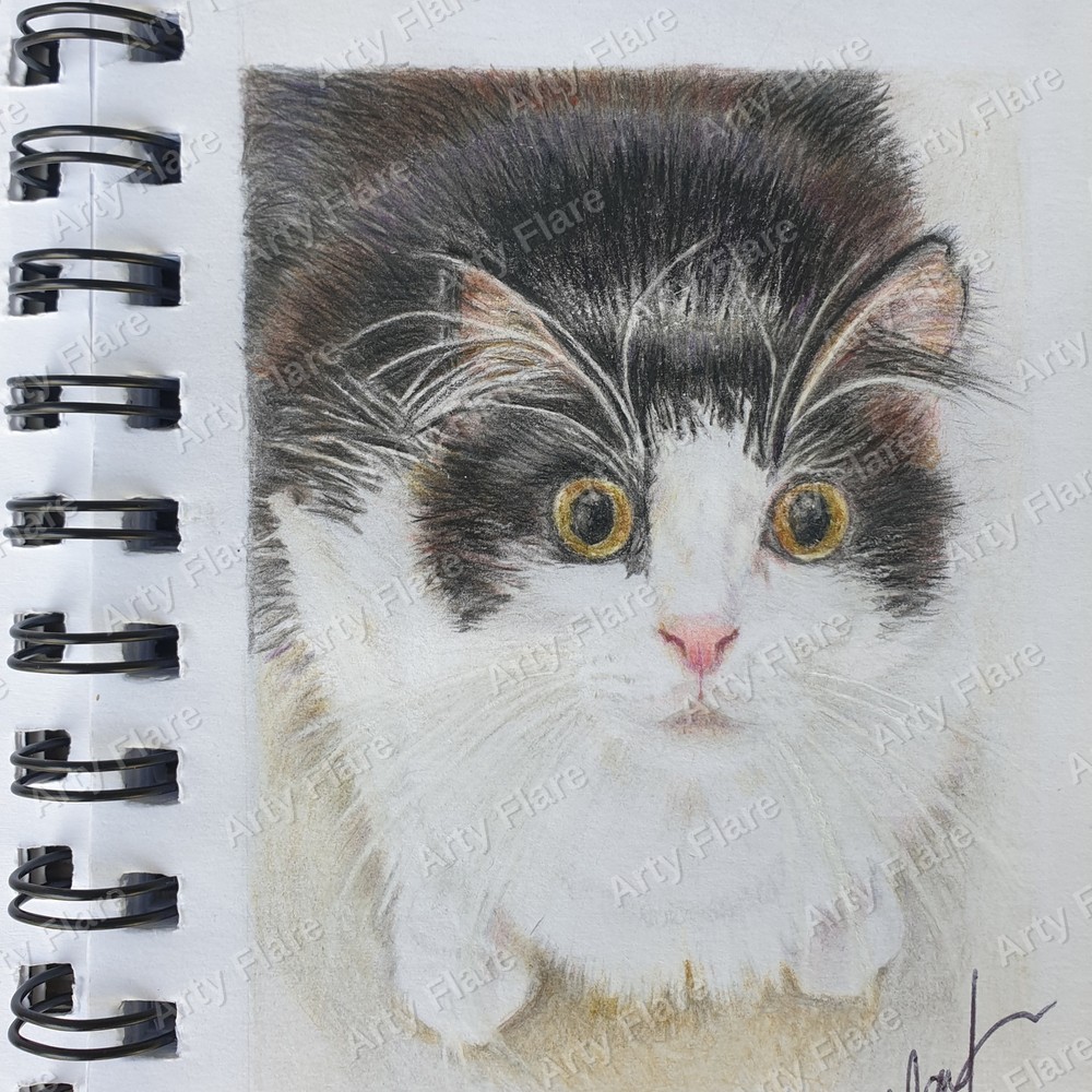 Realistic coloured pencil pet portrait of Lucy by Arty Flare