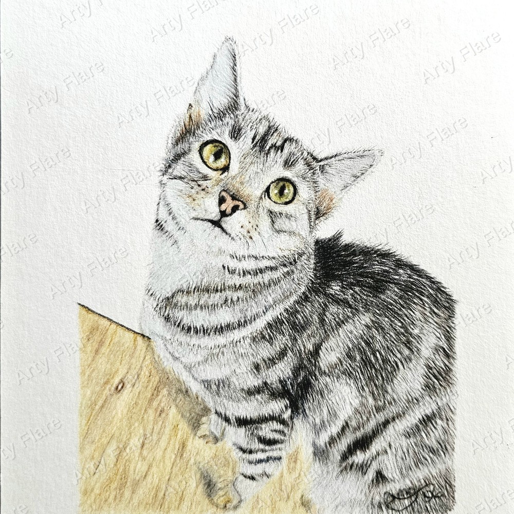 Realistic coloured pencil pet portrait of Luna by Arty Flare