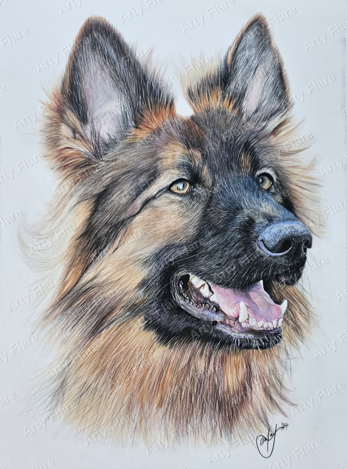 Fine art print of the coloured pencil artwork Alsatian by Arty Flare