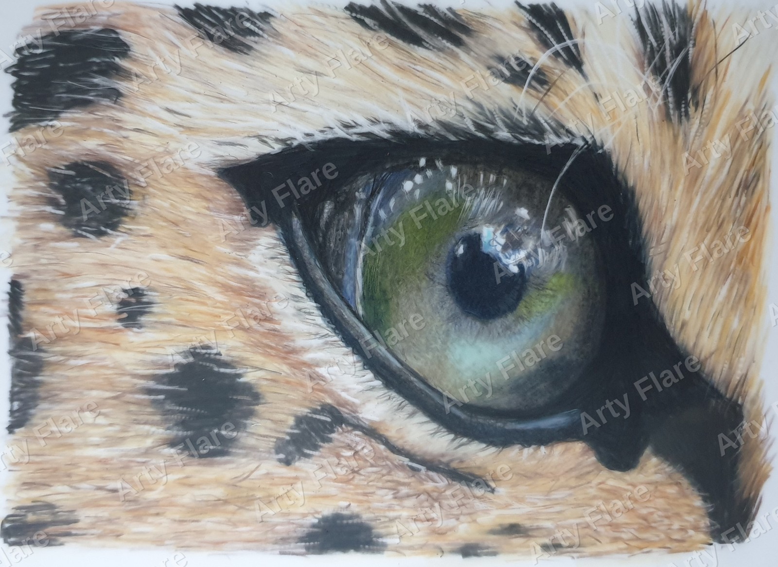 Realistic coloured pencil study of Leopard Eye by Arty Flare