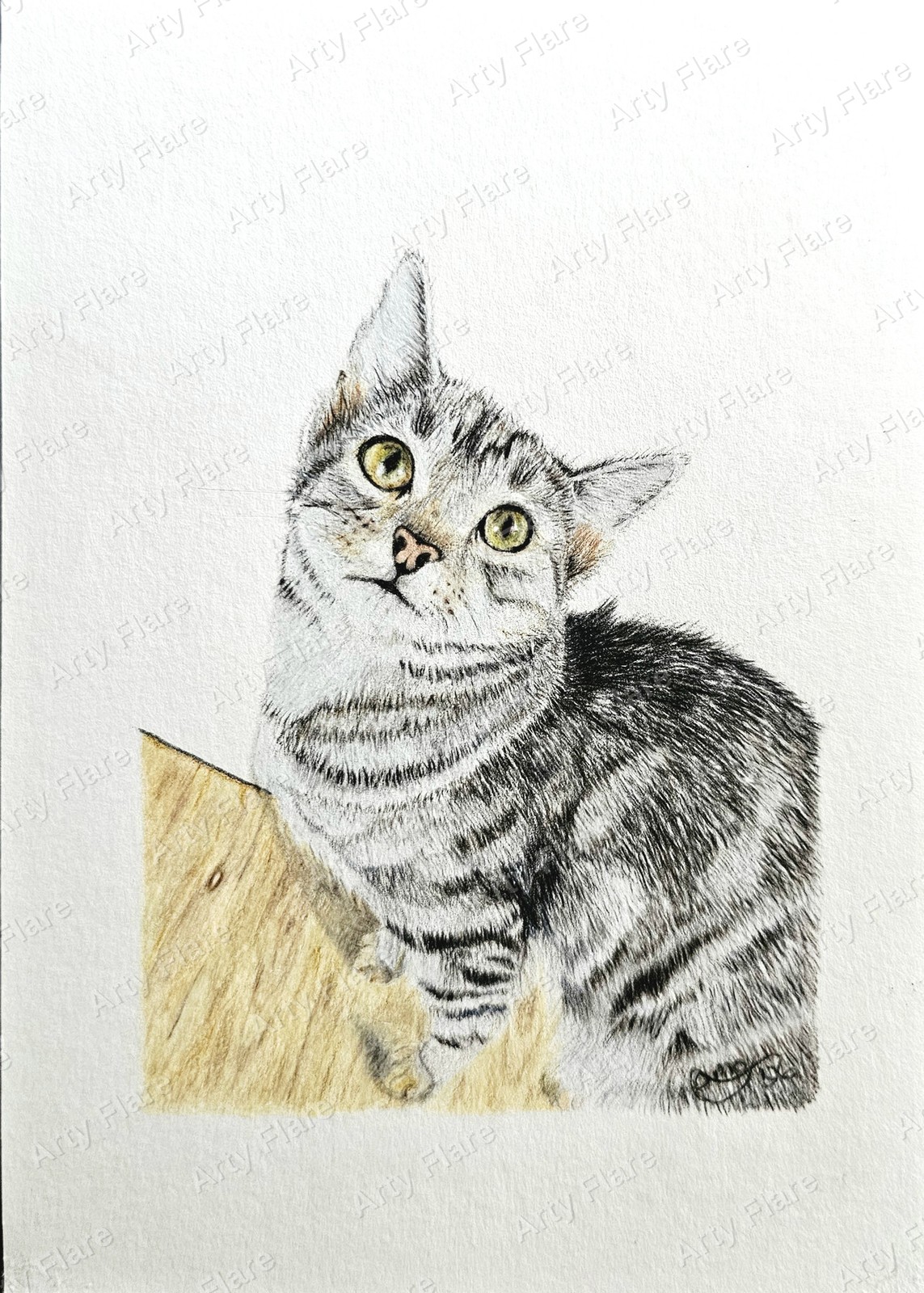 Realistic coloured pencil pet portrait of Luna by Arty Flare